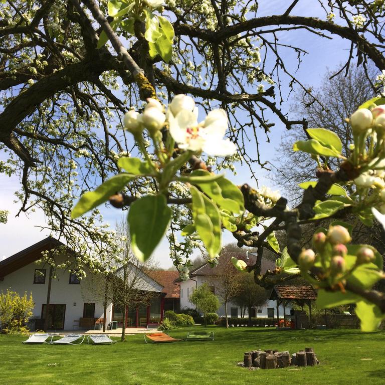 Sonnenblumenhof ξενώνας Mühlheim Εξωτερικό φωτογραφία